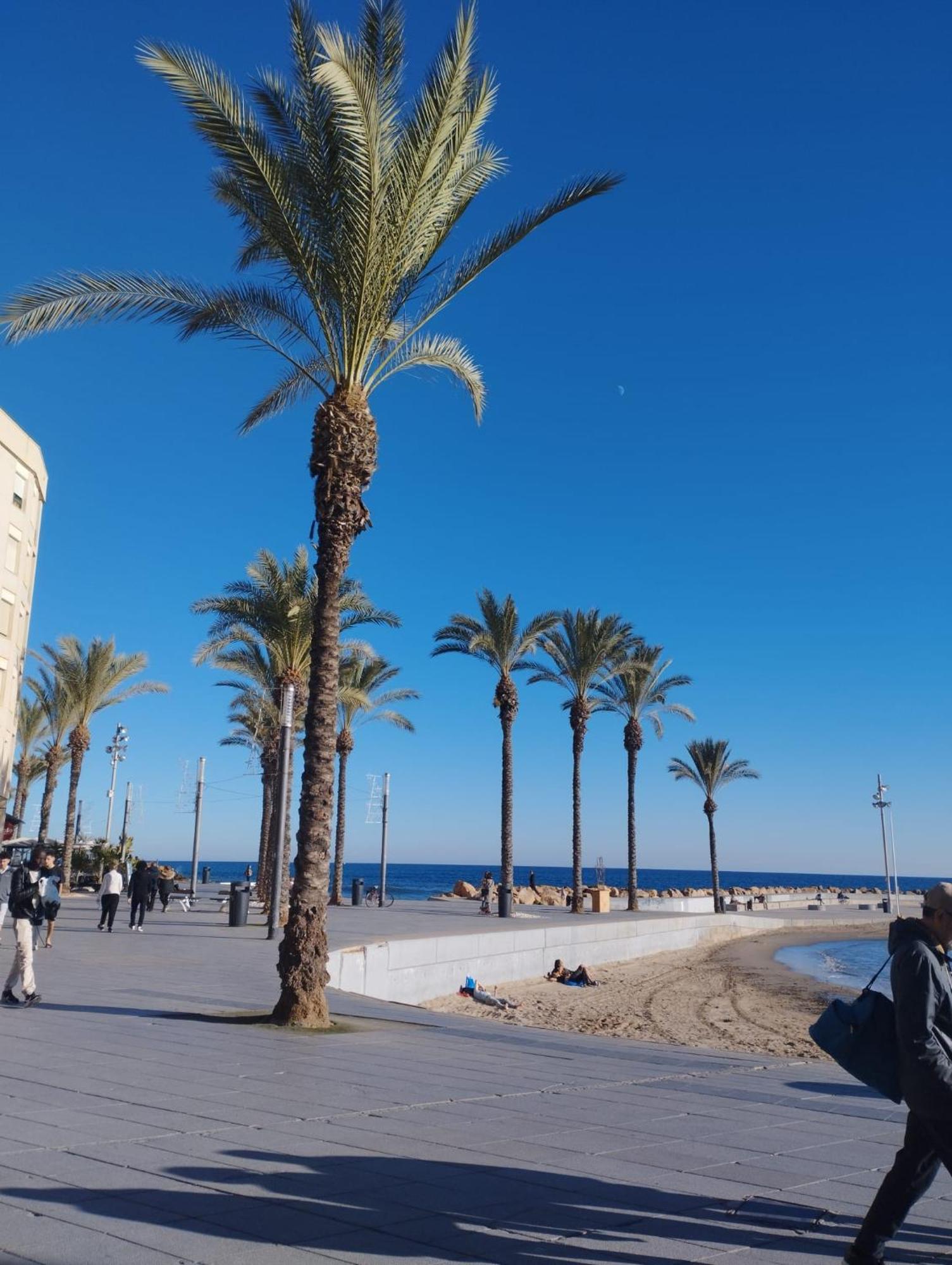 Просторная Квартира Рядом С Морем В Хорошем Районе Torrevieja Buitenkant foto